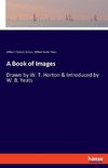 A Book of Images