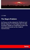 The Negro Problem