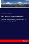 The Laboratory of Chemical Wonders