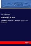 First Steps in Zulu