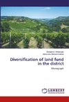 Diversification of land fund in the district