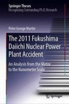 The 2011 Fukushima Daiichi Nuclear Power Plant Accident