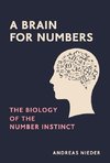 A Brain for Numbers