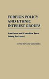 Foreign Policy and Ethnic Interest Groups