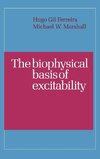 The Biophysical Basis of Excitability