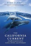 The California Current