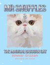 Mr Shuffles