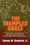 The Trampled Grass