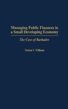 Managing Public Finances in a Small Developing Economy