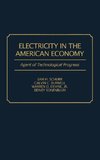 Electricity in the American Economy