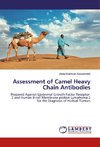 Assessment of Camel Heavy Chain Antibodies