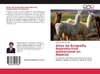 Atlas de Ecografía Reproductiva Gestacional en Alpacas