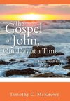THE GOSPEL of JOHN, ONE DAY at a TIME