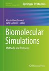 Biomolecular Simulations