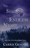 The Shadow of the Endless Night
