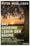 Das geheime Leben der Bäume