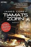 Tiamats Zorn