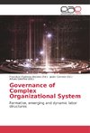 Governance of Complex Organizational System