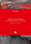 Updates in Volcanology