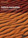 Pattern Formation