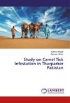 Study on Camel Tick Infestation in Tharparker Pakistan