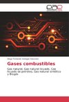 Gases combustibles