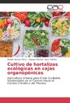 Cultivo de hortalizas ecológicas en cajas organopónicas