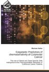 Epigenetic Predictors of chemosensitivity of Colorectal Cancer