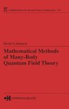 Mathematical Methods of Many-Body Quantum Field Theory