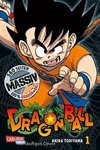 Dragon Ball Massiv 1