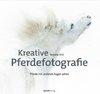 Kreative Pferdefotografie