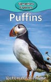 Puffins