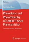 Photophysics and Photochemistry of a BODIPY-Based Photosensitizer