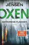 Oxen. Gefrorene Flammen