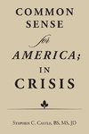 Common Sense for America; in Crisis