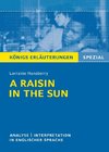 A Raisin in the Sun von Lorraine Hansberry