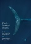 What Is Zoopoetics?