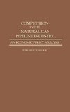 Competition in the Natural Gas Pipeline Industry