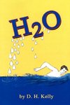 H2O