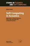 Soft Computing in Acoustics