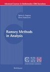 Ramsey Methods in Analysis