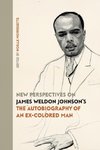 New Perspectives on James Weldon Johnson's 