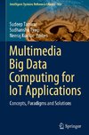 Multimedia Big Data Computing for IoT Applications