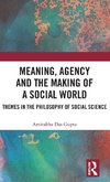 Meaning, Agency and the Making of a Social World