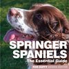 Springer Spaniels