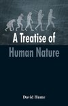 A Treatise of Human Nature