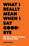 What I Really Mean When I Say Good-Bye