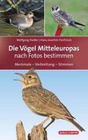 Die Vögel Mitteleuropas nach Fotos bestimmen