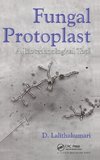 Fungal Protoplast