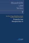 Property Law Perspectives VI